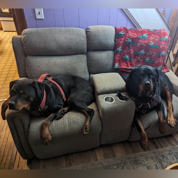 Meet your Posher, Maureen - Picture 3 of 3